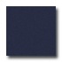 Milliken Harmony 8 Square Midnight Area Rugs