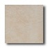 Marazzi Safari 8 X 8 Swaziland Tile & Stone
