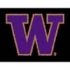 Logo Rugs Washington University Washington Entry M