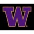 Logo Rugs Washington University Washington Entry Mat 2 X 2 Area