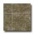 Tarkett City View - Ceramica Boulevard 12 Whale Gray Vinyl Floor