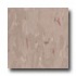 Mannington Essentials Muavestone Vinyl Flooring