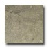 Mohawk Egyptian Stone 6 X 6 Cairo Brown Tile & Stone