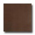 Casa Dolce Casa Neutra 16 X 16 Moka Tile & Stone