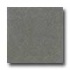 Santa Regina Architectural 24 X 24 (natural) Olive Terrazzo Tile