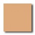 American Olean Quarry Tile Abrasive 6 X 6 Sahara Tile & Stone