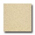 Armstrong Medintech Tandem Inlaid Oatmeal Vinyl Flooring