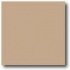 Daltile Natural Hues 3 X 3 Spice Tile  and  Stone