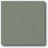 Daltile Porcealto (textured) 8 X 8 Verde Tile  and  St