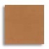Daltile Natural Hues 3 X 6 Latte Tile  and  Stone