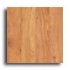 Witex Home And Heritage Hampton Cherry Laminate Flooring