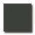 Daltile Design Porcelain Unpolished 8 X 8 Black Tile & Stone