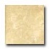 Azuvi Austin 20 X 20 Avoria Tile  and  Stone