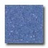 Santa Regina Designer 24 X 24 (natural) Azul Terrazzo Tile