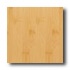 Teragren Studio Horizontal Natural Bamboo Flooring