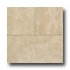 Daltile Capriccio 20 X 20 Forte Noce Tile & Stone