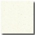 Fritztile Rainbow Marble Rb2200 Vanilla Bean Tile & Stone