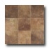 Tesoro Kulture 6 X 6 Red Oak Tile & Stone