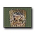 Milliken Realtree Collection 5 X 8 Team Realtree Bucks Viii Area