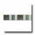 Mirage Tile Glass & Stone Border 2 X 10 Mgsb02 Tile & Stone