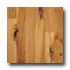 Harris-tarkett Foundations Hickory Golden Hardwood Flooring