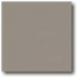 Daltile Suretread & Pavers 6 X 6 Gray Paver Tile & Stone