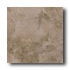 Tesoro Marmol Anticato 18 X 18 Walnut Tile & Stone