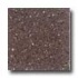 Santa Regina Architectural 24 X 24 (natural) Plum Terrazzo Tile