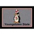 Milliken Youngstown State 4 X 5 Youngstown Area Rugs