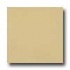 Marazzi Le Cromie Polished 12 X 12 Citrino Tile & Stone