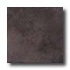 Armstrong Artifact Room 12 X 12 Primitive Charcoal