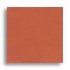 Daltile Natural Hues 6 X 6 Paprika Tile  and  Stone