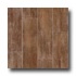 Interceramic Timberlands 6 X 24 Nature Valley Tile & Stone