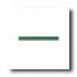 American Olean Sizzle Strips 6 X 1/2 Hunter Green Tile & Stone