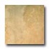 Tilecrest Alicia 13 X 13 Almond Tile & Stone