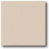 Daltile Porcealto (textured) 8 X 8 Bianco Tile & Stone