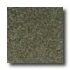Milliken Tesserae Spectrum Bay Leaf Carpet Tiles