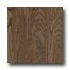 Harris-tarkett Essentials Ash Cocoa Hardwood Floor