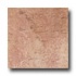 Mohawk Quarry Stone 4 X 4 Terra Tile & Stone
