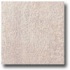 Marazzi Fossili Polished 12 X 24 Trilobite Pink Tile & Stone