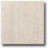 Marazzi Fossili Matt Natural 12 X 12 Rectified Paleonisco Tile &
