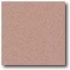 Daltile Porcealto (polished) 12 X 12 Creta (graniti) Tile & Ston