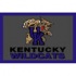 Logo Rugs Kentucky University Kentucky Area Rug 3 X 5 Area Rugs