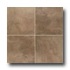 Mohawk Paradiso 13 X 13 Brun Tile & Stone
