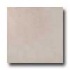 Portobello New Age Stone 12 X 12 New Age Straw Tile & Stone