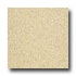 Armstrong Medintech Homogeneous Oatmeal Vinyl Floo