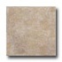 American Florim Marquessa 12 X 12 Windsor Tan Tile & Stone