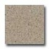 Santa Regina Architectural 24 X 24 (polished) Sand