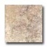 Portobello Pacifica 20 X 20 Sepia Tile & Stone