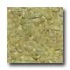 Fritztile Glass Tile Gl6500 3/16 Desert Sand Tile & Stone
